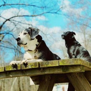 Meet your Posher, Luke